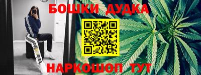 стаф Будённовск