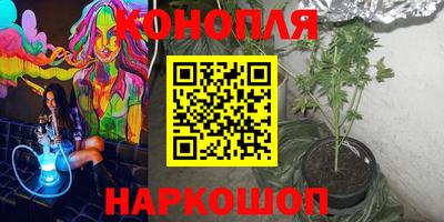 стаф Будённовск