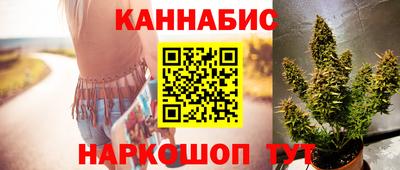 стаф Будённовск