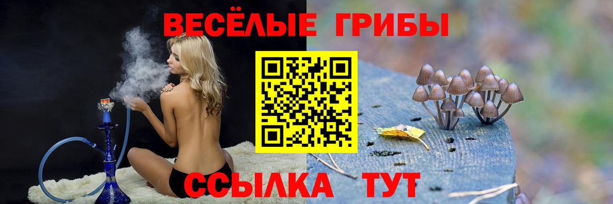 Черногорск  продажа наркотиков  Вход с VPN  Галлюциногенные грибы мухоморы 